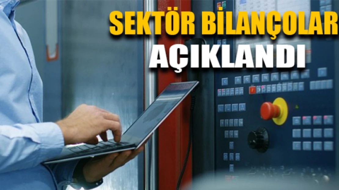 Sektör bilançoları idari kayıtlara dayalı olarak üretildi