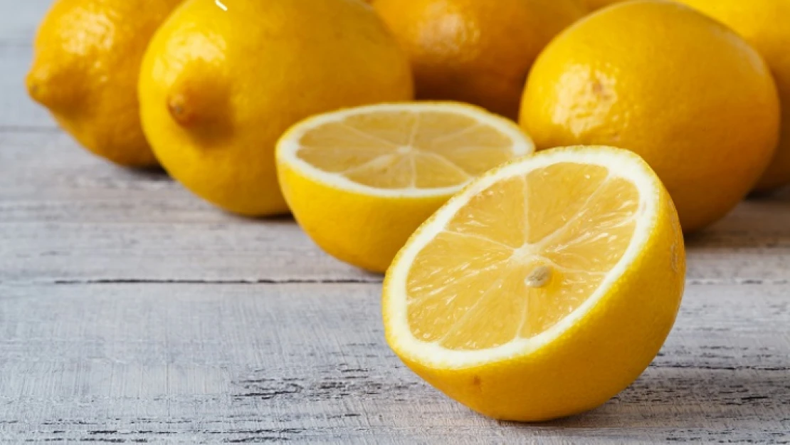 Sezonun ilk limonu 15 Eylül'de ihracat yolcusu