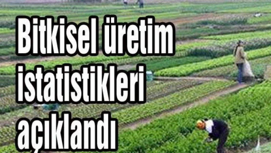 Tahıl üretimi 2020 yılında bir önceki yıla göre arttı