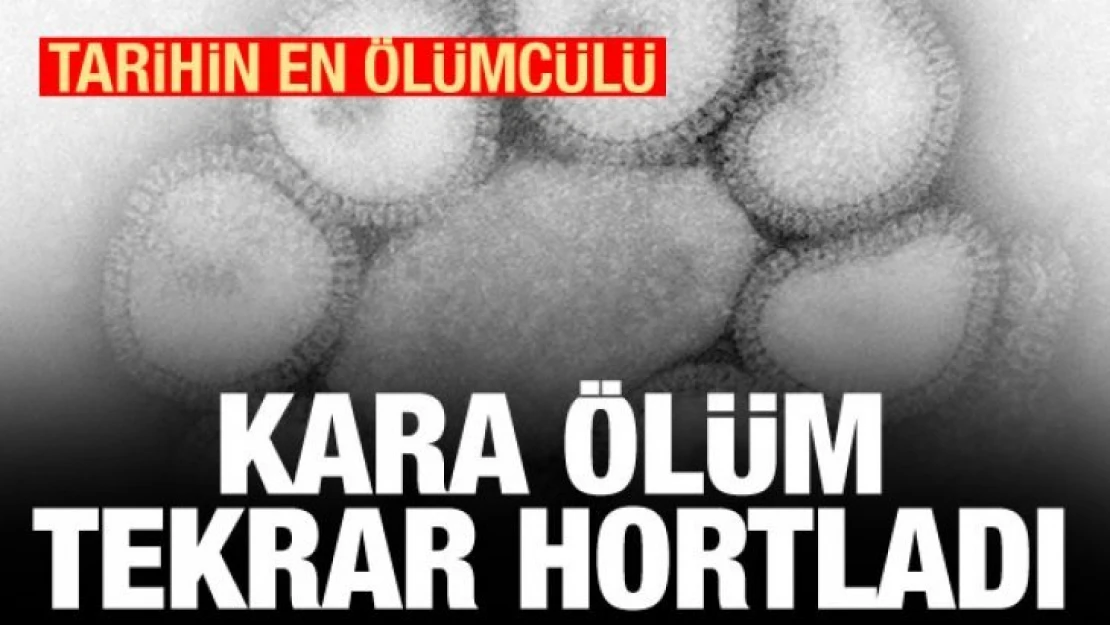 Tarihin en ölümcülü tekrar hortladı! Kara ölüm geri döndü