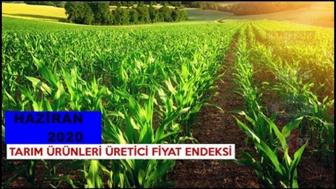 Tarım Ürünleri Üretici Fiyat Endeksi açıklandı