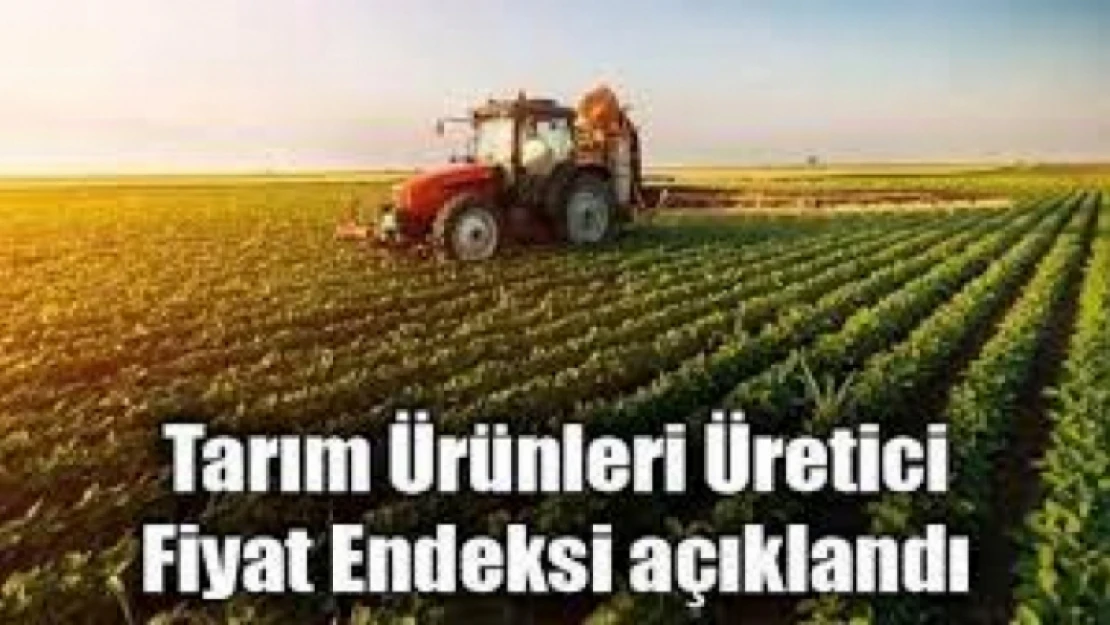 Tarım ürünleri üretici fiyat endeksi (Tarım-ÜFE) yıllık yüzde 62,48, aylık yüzde 8,03 arttı