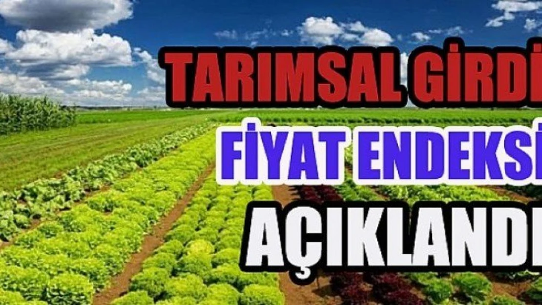 Tarımsal Girdi Fiyat Endeksi