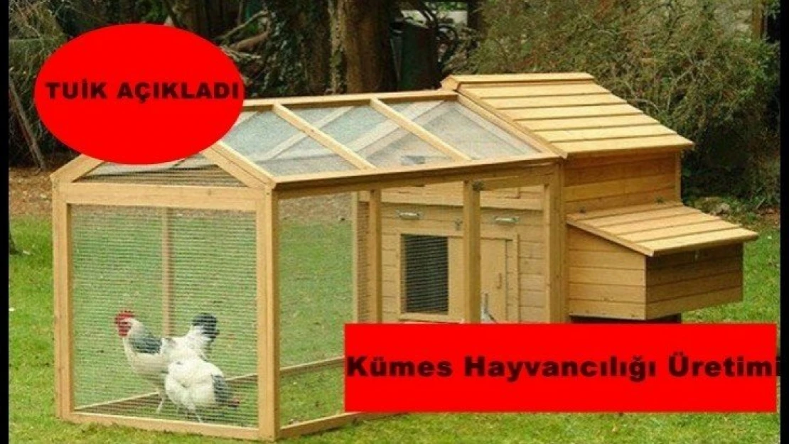 TUİK Kümes Hayvancılığı Üretimi verilerini açıkladı