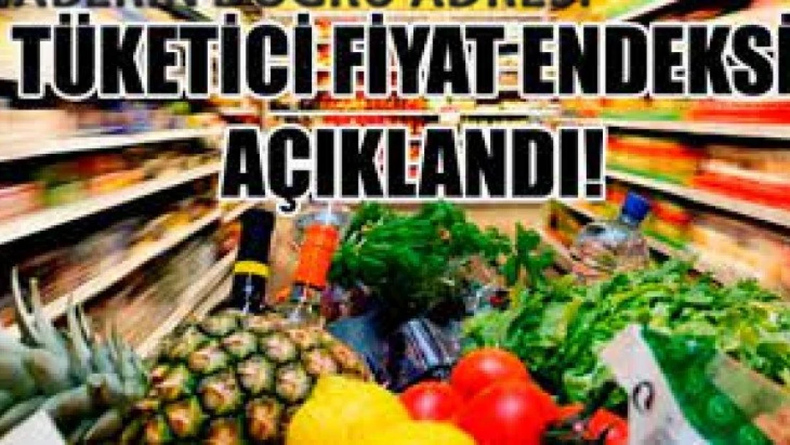 Tüketici Fiyat Endeksi Açıklandı