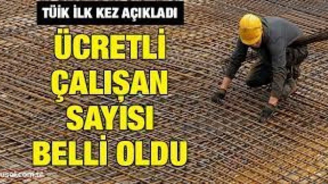 Ücretli çalışan sayısı yıllık yüzde 7,5 arttı