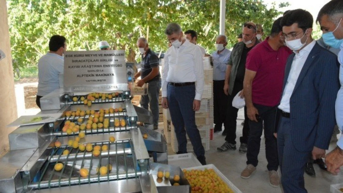 Vali Baruş 'Kayısı Boylama Makinesi' Hibe Programına Katıldı