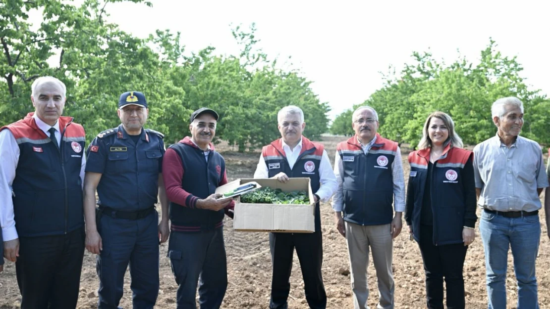 Vali Ersin Yazıcı'dan Yeşilyurt İlçesindeki Meyve Bahçelerine Ziyaret