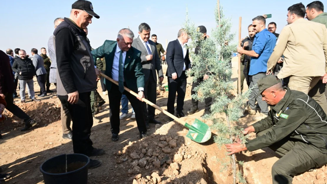 Vali Ersin Yazıcı 'Milli Ağaçlandırma Günü' Kapsamında Fidan Dikim Etkinliğine Katıldı