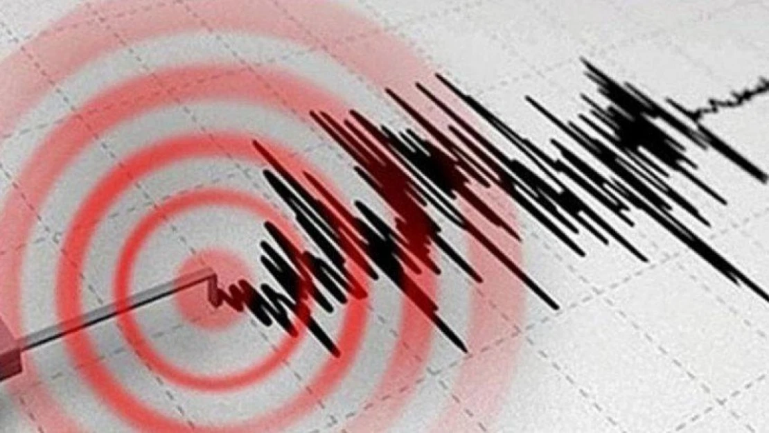 Van 5,4 deprem ile sallandı