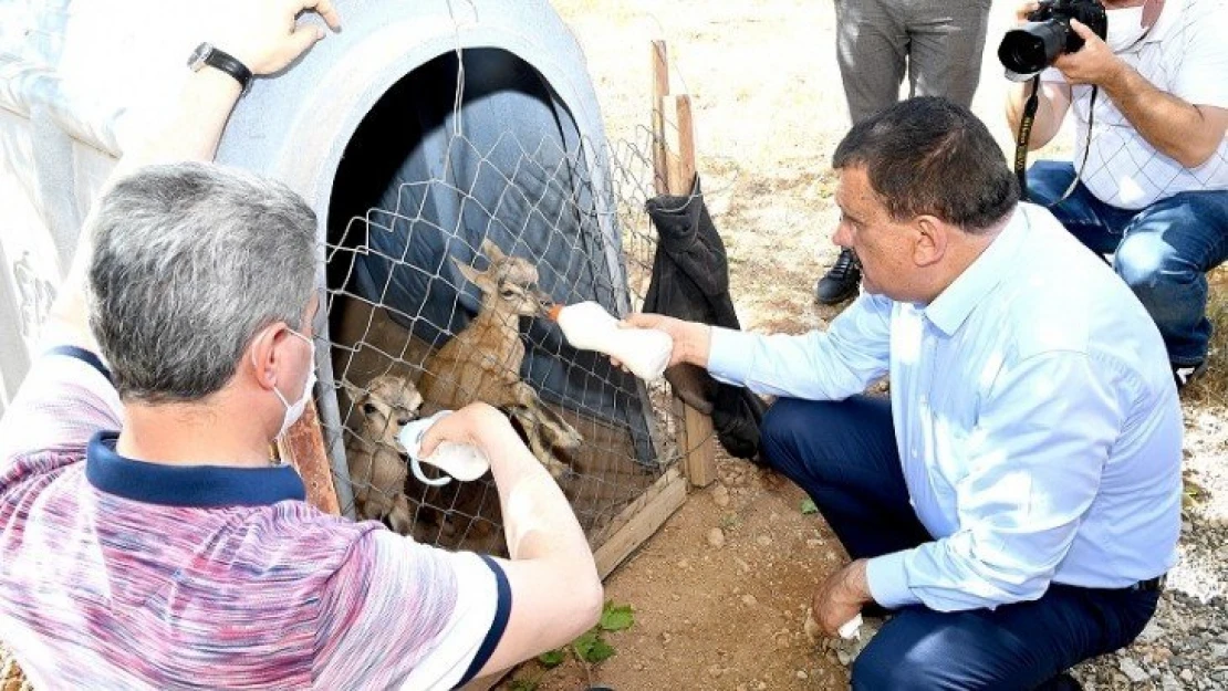 Yaban Hayatı Gözlem Merkezi ziyaret edildi