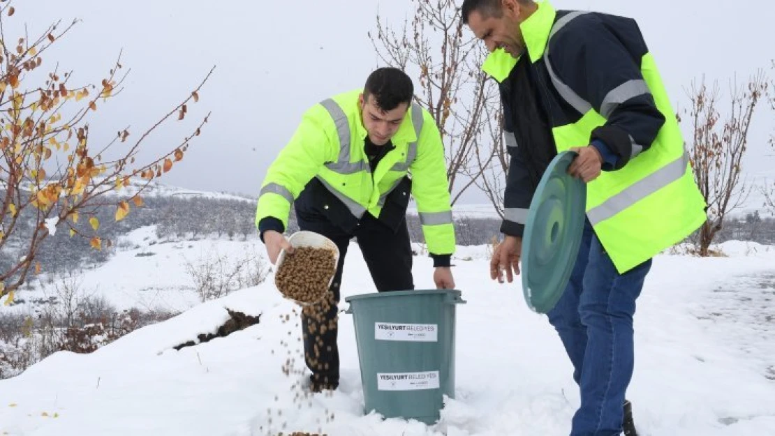 Yeşilyurt Belediyesi Ekipleri, Minik Canlılar İçin Doğaya Yem Bırakıyor