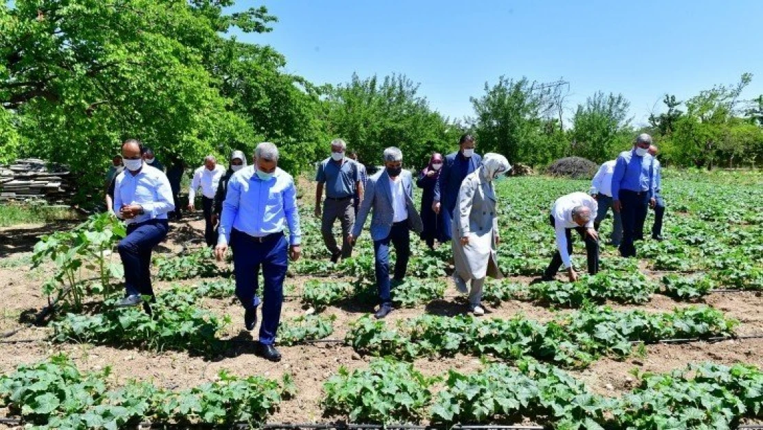 Yeşilyurt Belediyesi Ücretsiz Fide Dağıttı