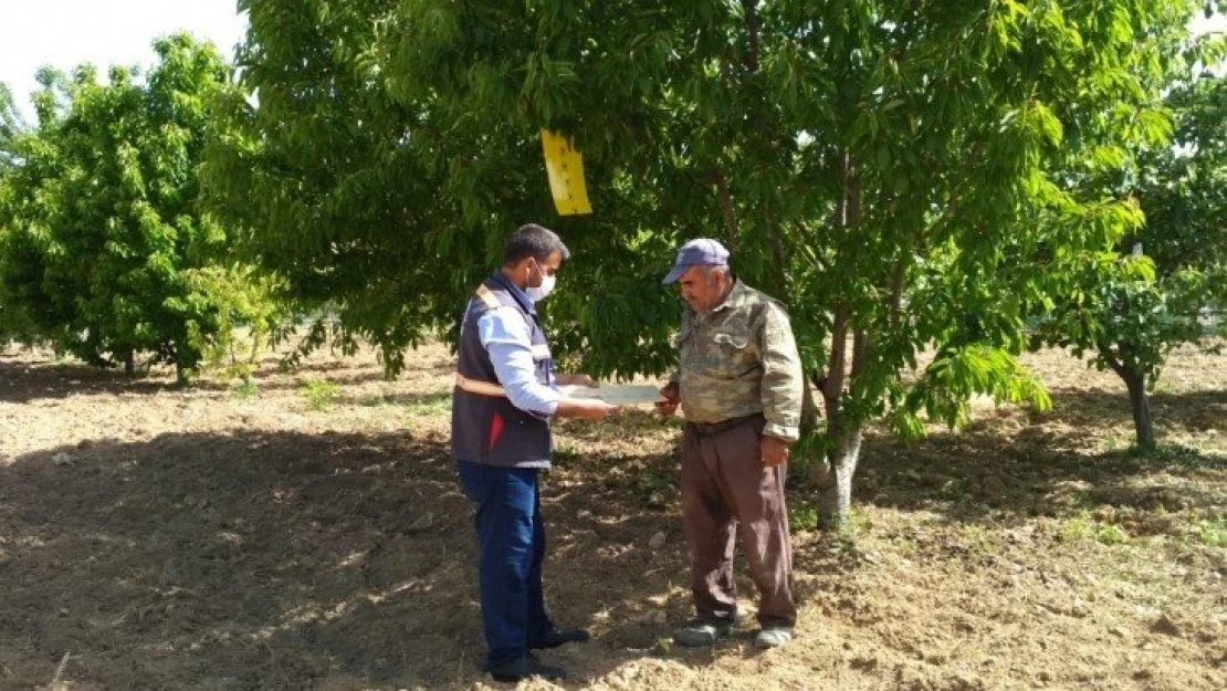 Yeşilyurt'ta ki Çiftçilere Sarı Yapışkan Tuzak Hediye Edilip, Bilgilendirmede Bulunuldu