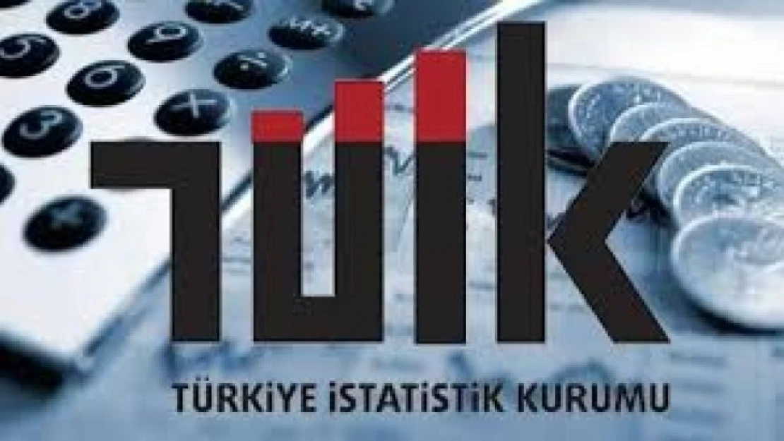 Yükseköğretim İstihdam Göstergeleri