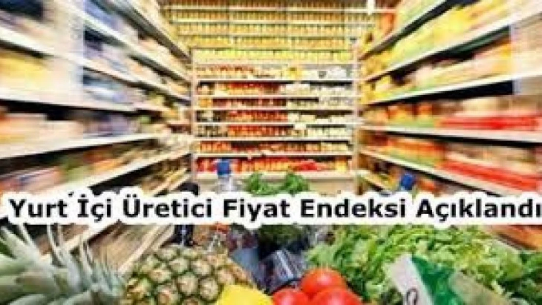 Yurt içi üretici fiyat endeksi aylık %0,13 arttı