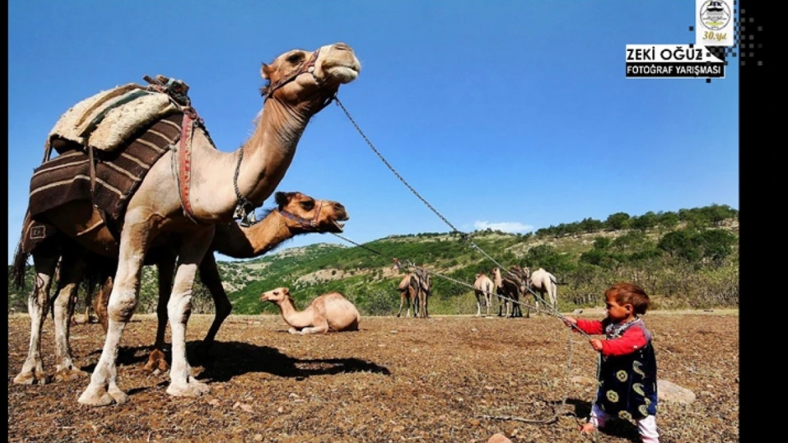 Zeki Oğuz Fotoğraf Yarışması Ve 30. Yıl Kutlama Ve Ödül Töreni Etkinliği