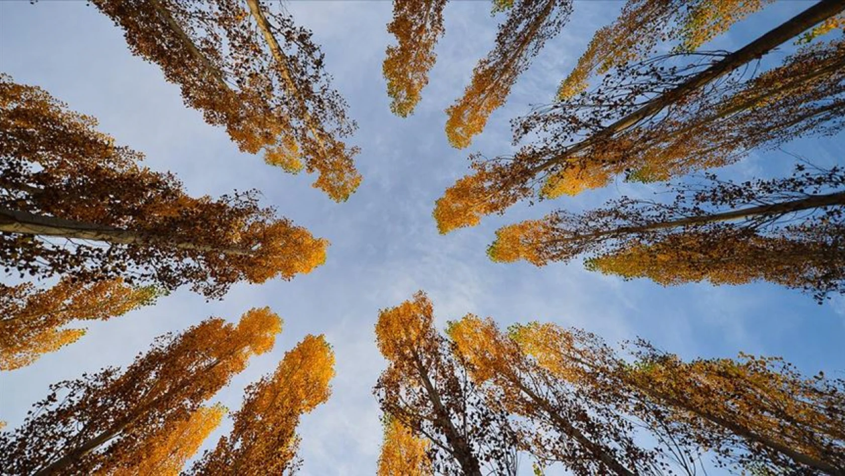 Tunceli'nin ormanlarında sonbahar renkleri hakim oldu