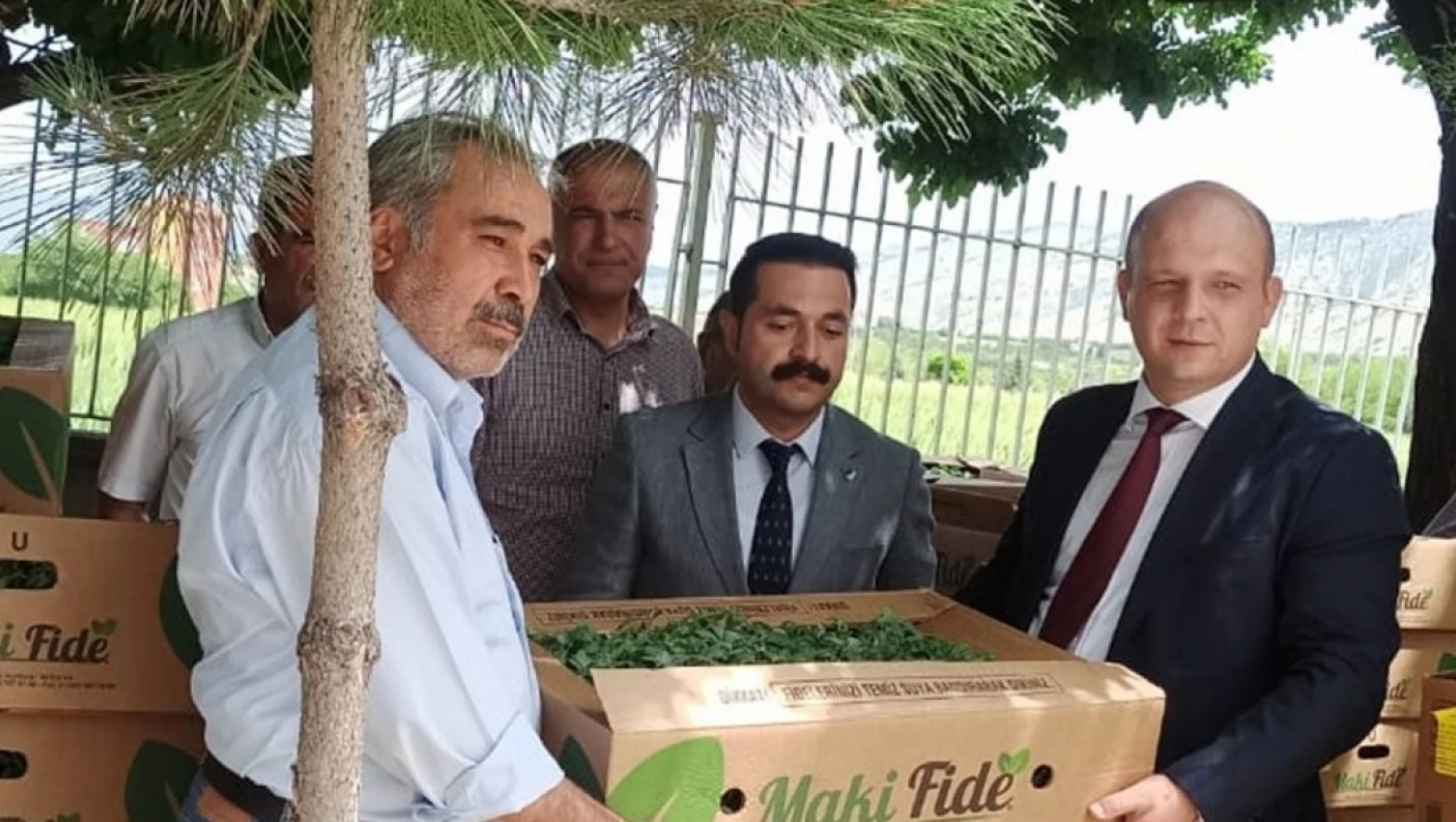 Kale'de üreticilere sebze fidesi dağıtıldı