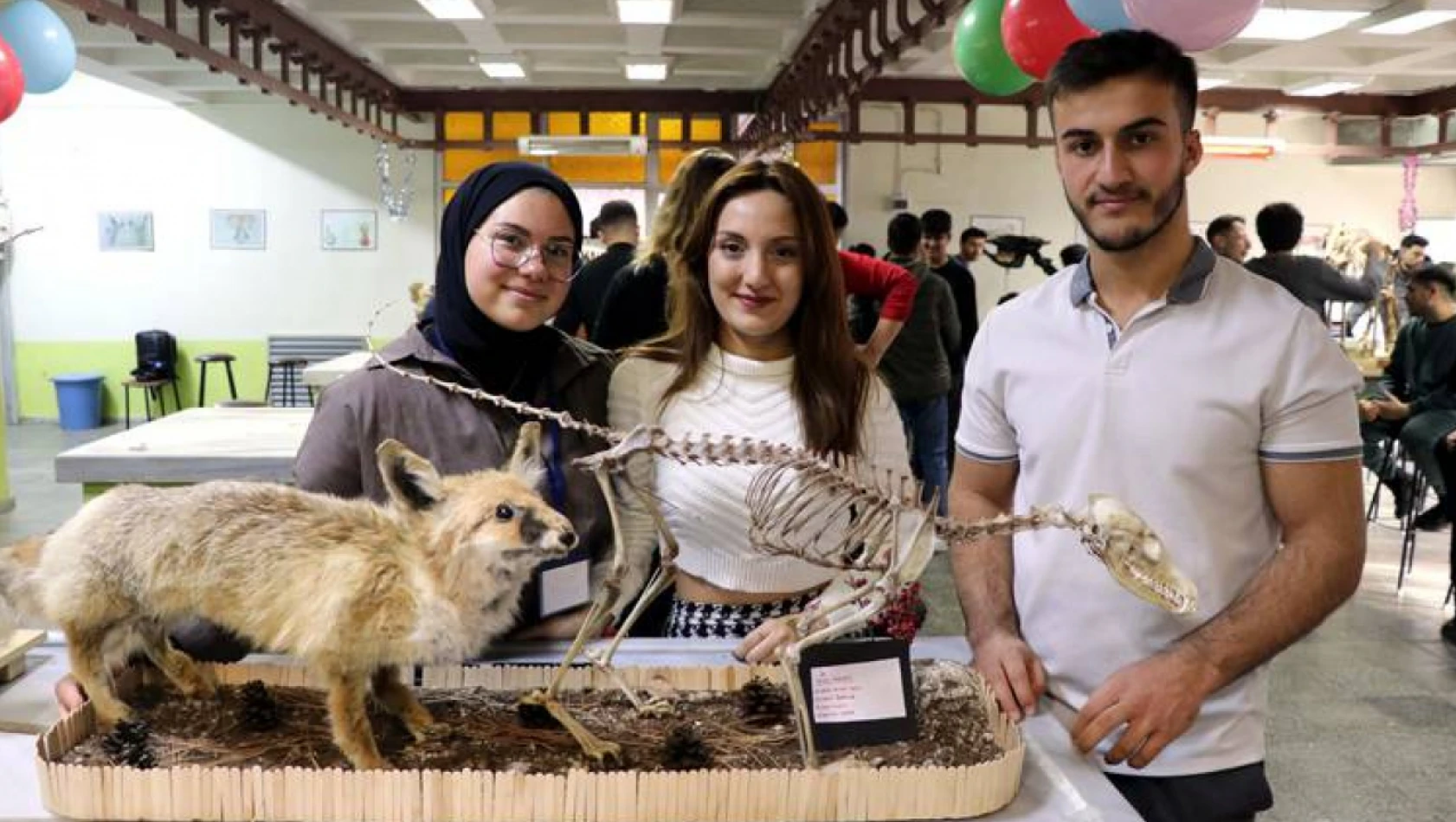 Topladıkları hayvan kemiklerini anatomi dersi için iskelete dönüştürdüler