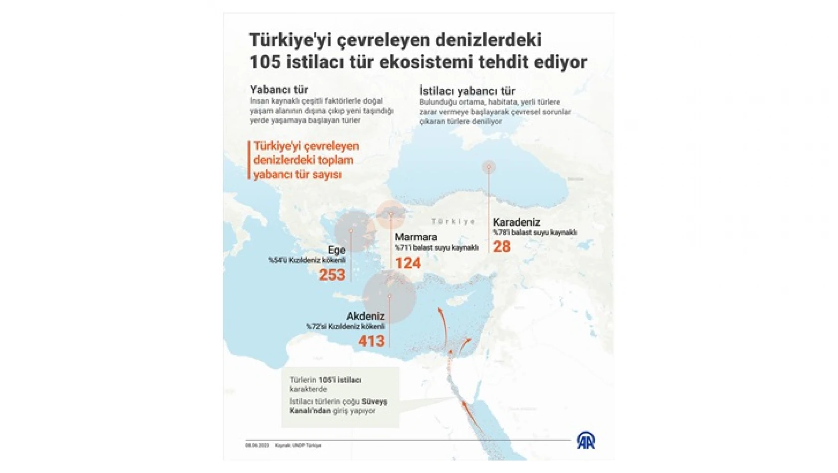 Türkiye'yi çevreleyen denizlerdeki 105 istilacı tür ekosistemi tehdit ediyor