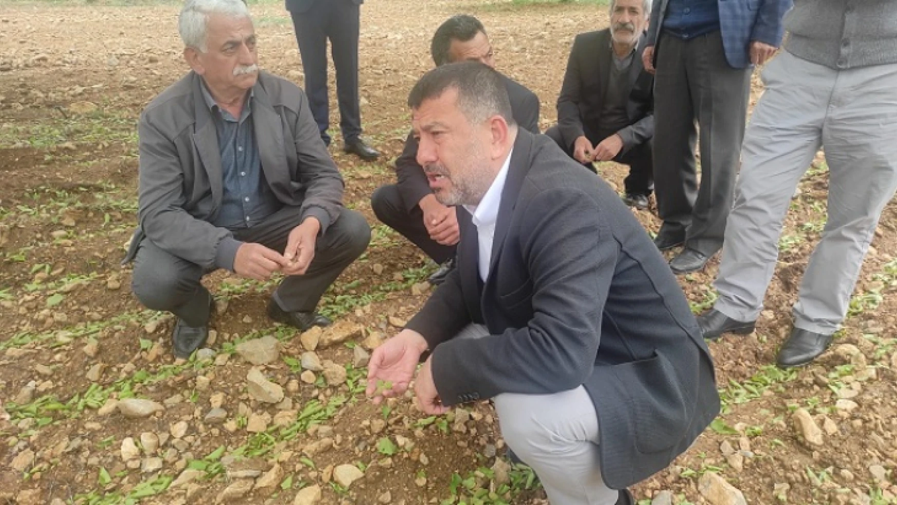 Ağbaba Doğanşehir'de zarar gören kayısı bahçelerini gezdi