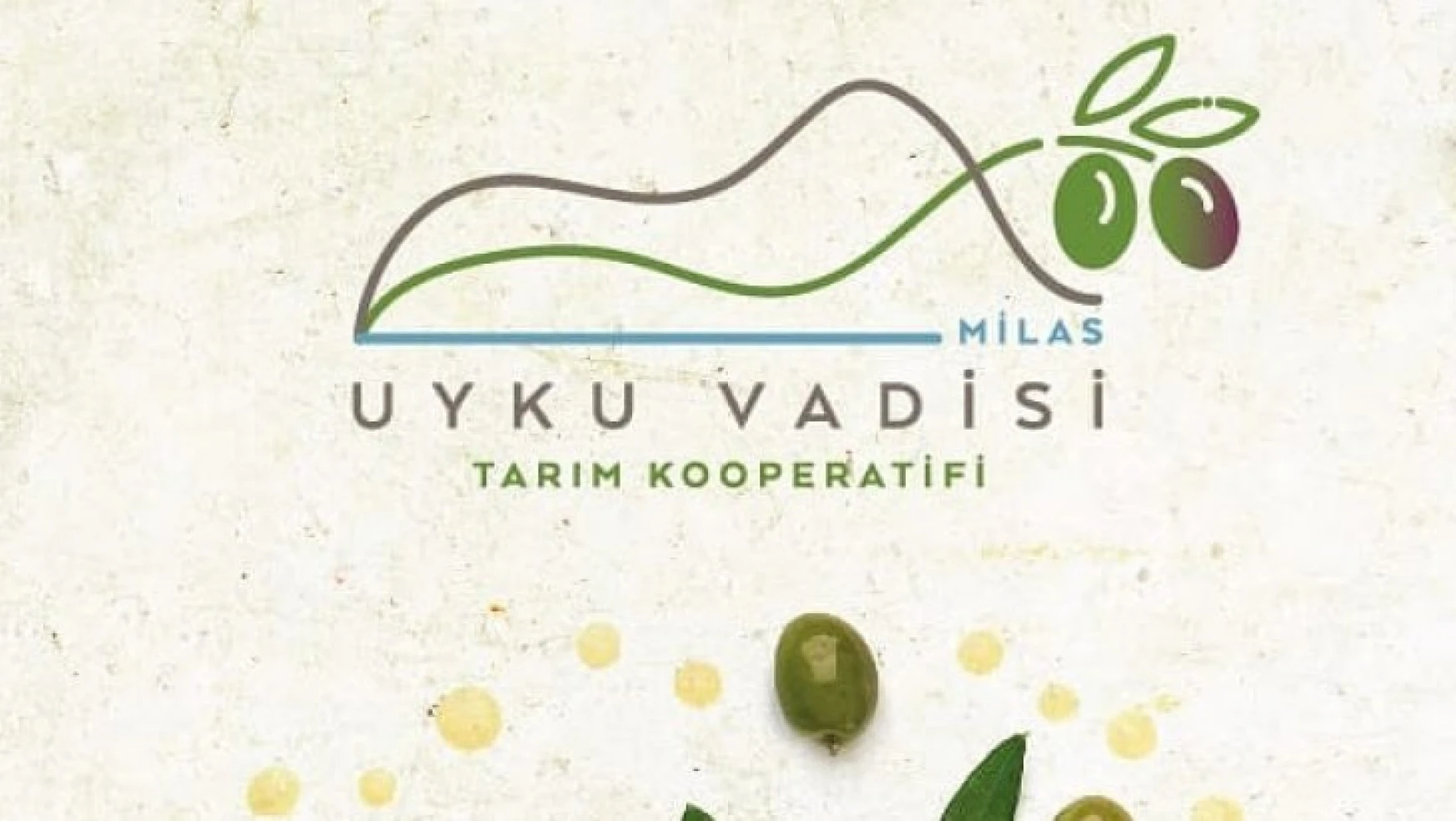 Ankaralı bürokratların tarım kooperatifi Milas'ın zeytinyağını dünyaya tanıtmaya hazırlanıyor