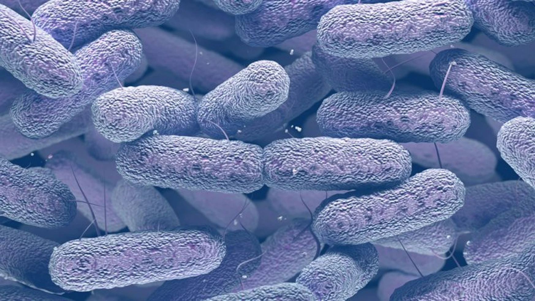 Antibiyotiğe dirençli bakteri Avrupa hastanelerinde yayılıyor