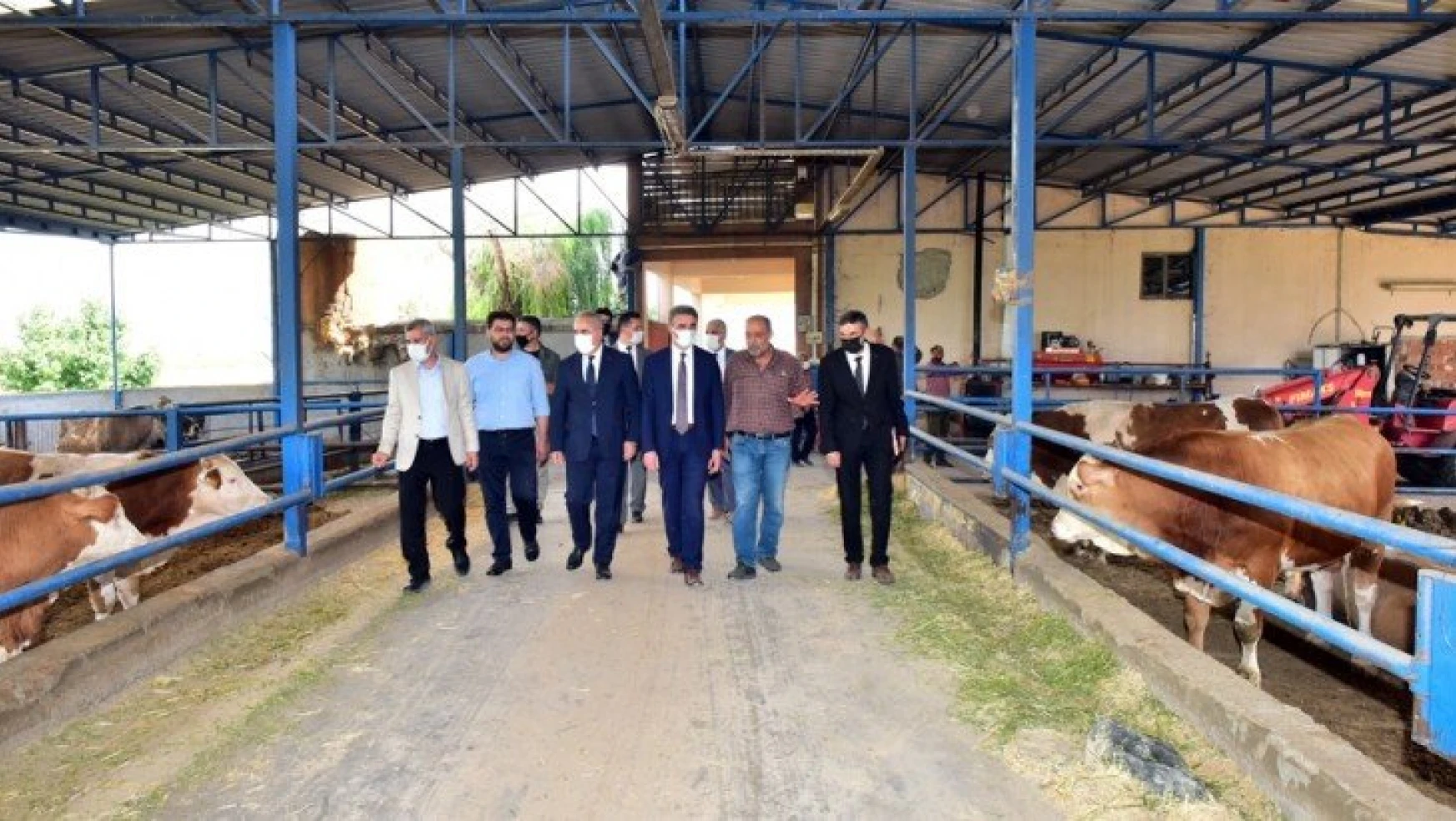 Bakan Yardımcısı Tunç Malatya'da Tarım ve Hayvancılık Faaliyetlerini İnceledi