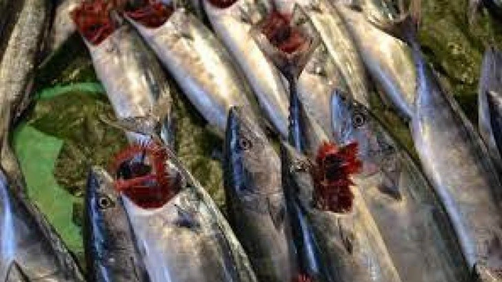Balık Fiyatlarının düşmesi bekleniyor