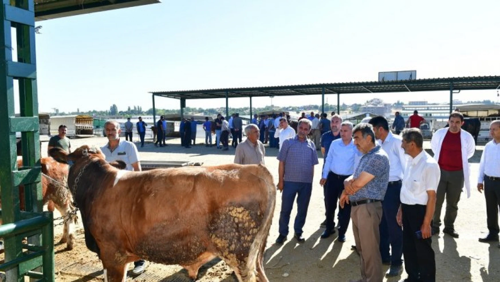 Başkan Çınar, Canlı Hayvan Pazarını Ziyaret Edip, Üreticilerle Bir Araya Geldi