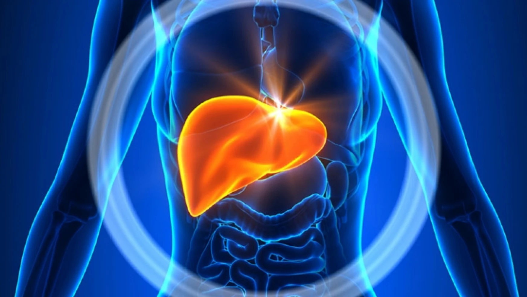 İlerleyen Hepatitler Karaciğer Yetmezliğine Yol Açabilir
