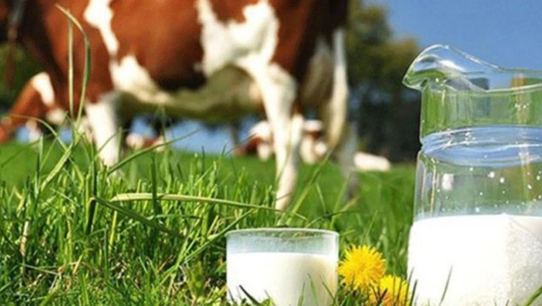 Çiğ Süt Refarans Fiyatı 2,30 Lira Oldu