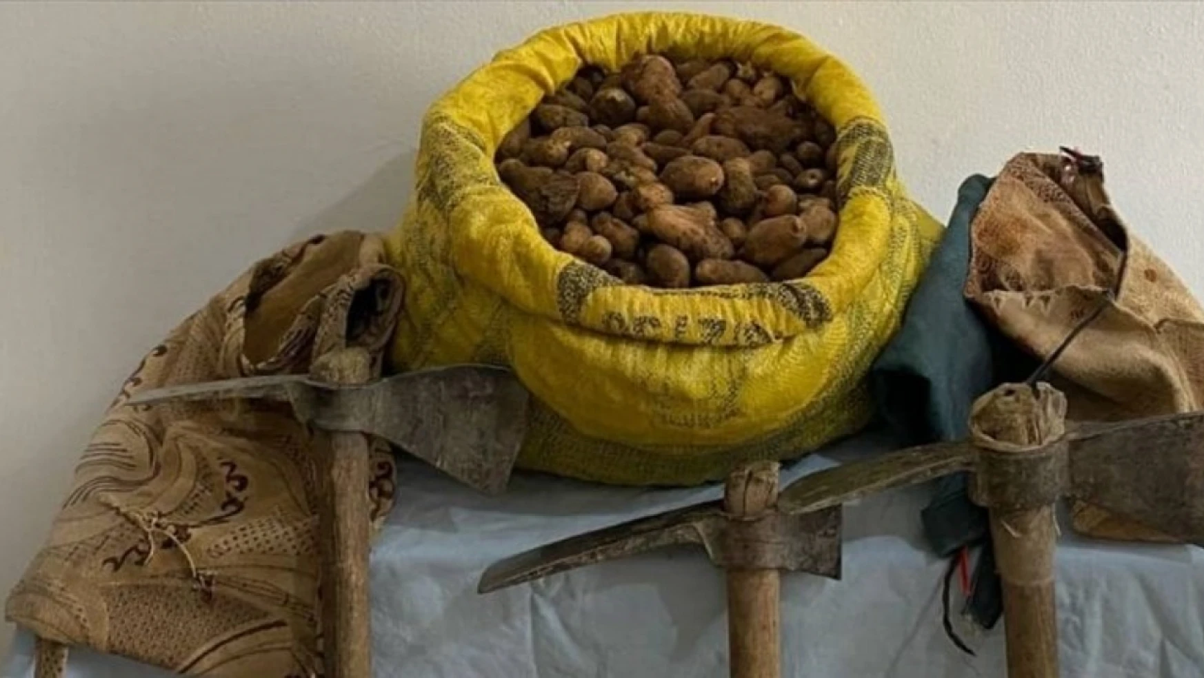 Elazığ'da kaçak salep soğanı toplayan 2 kişi yakalandı