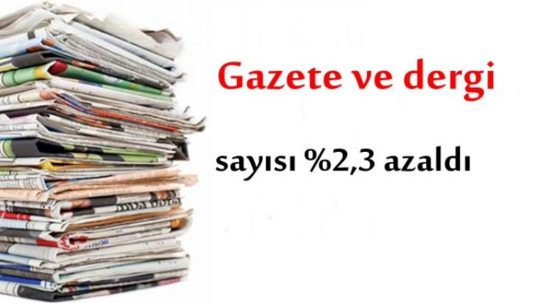 Gazete ve dergi sayısı %2,3 azaldı