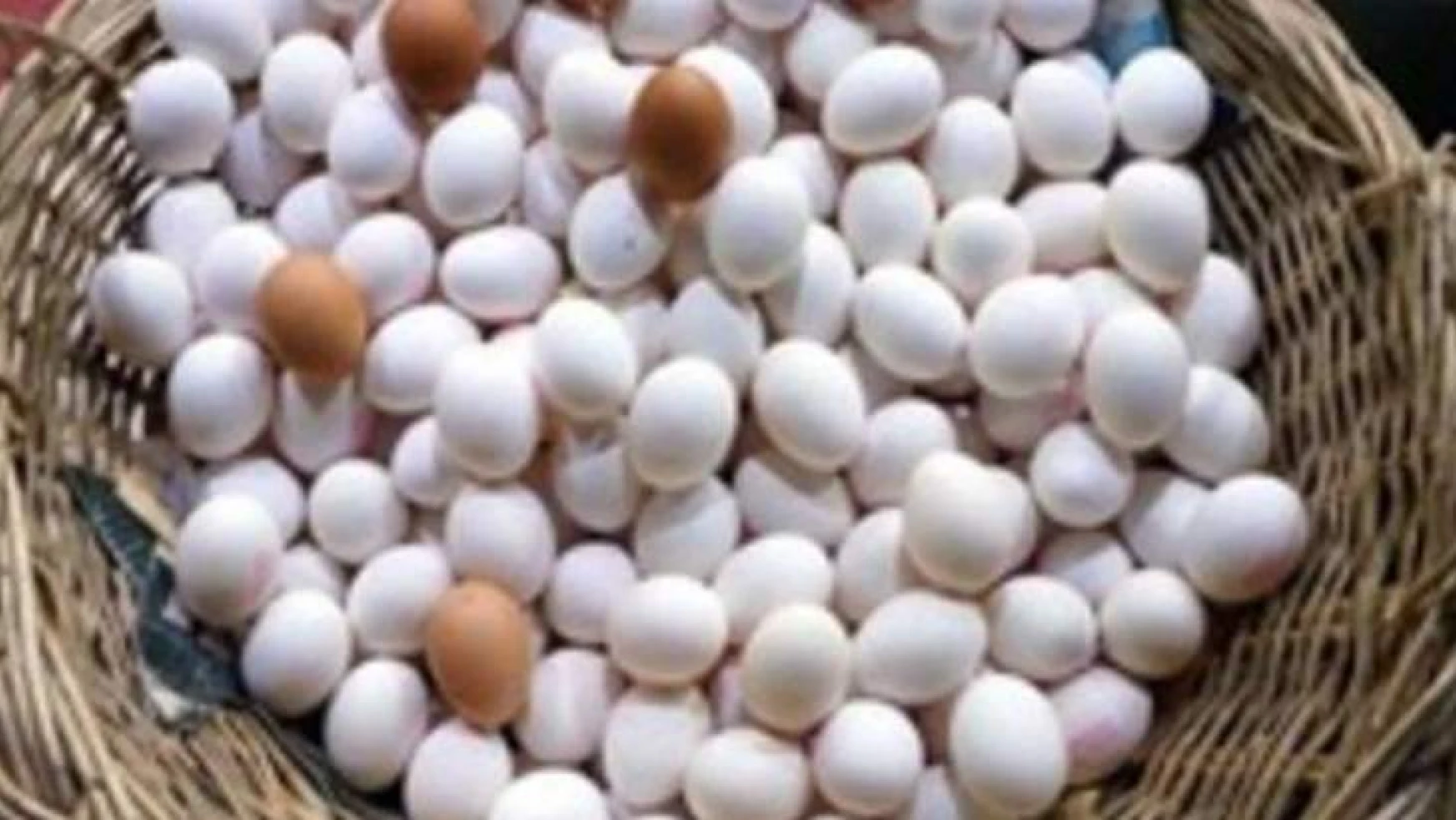Ülkemizde tavuk yumurtası üretimi 1,7 milyar adet olarak