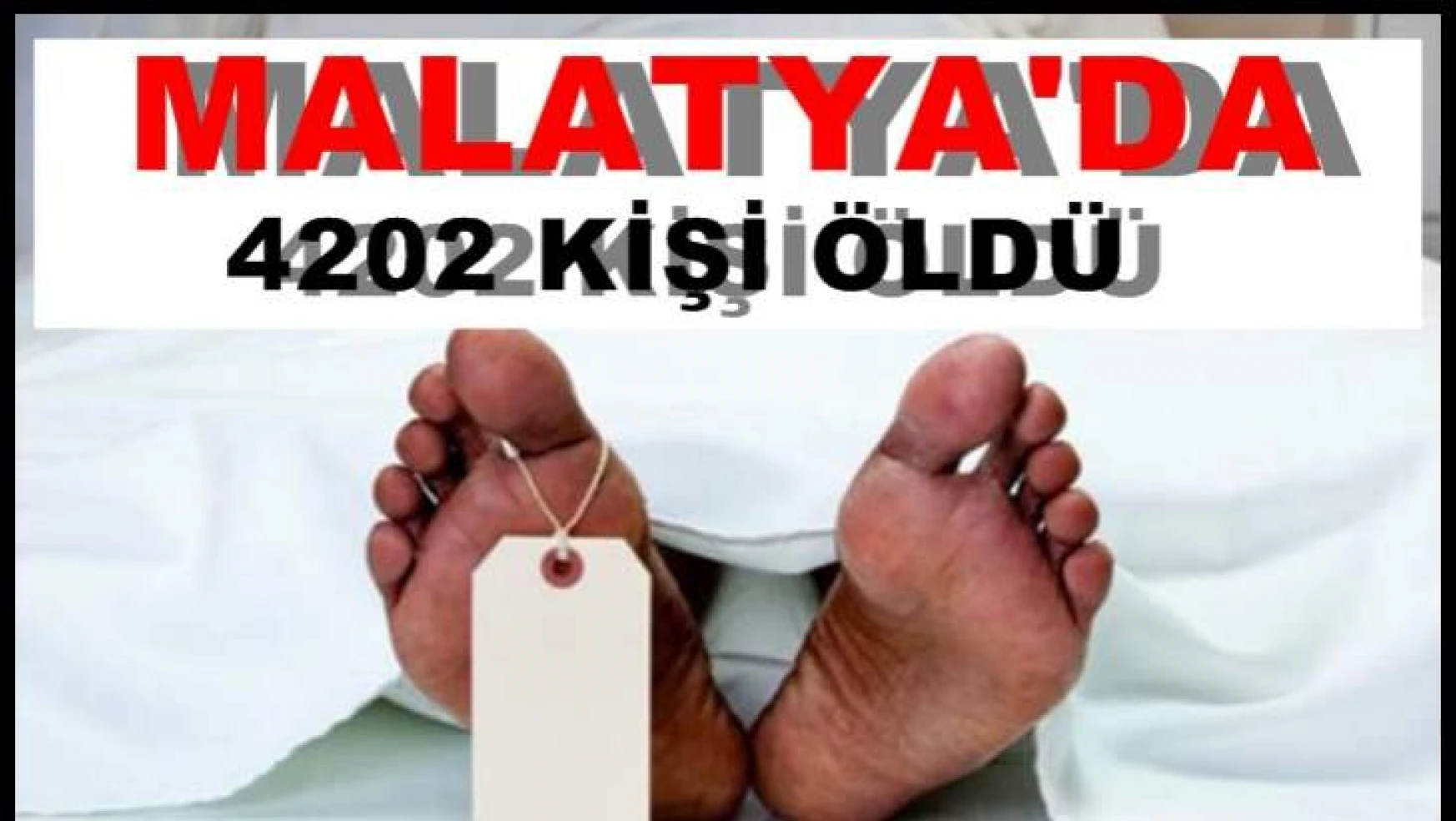 Malatya'da 2018 yılında ölen kişi sayısı 4 202 oldu.