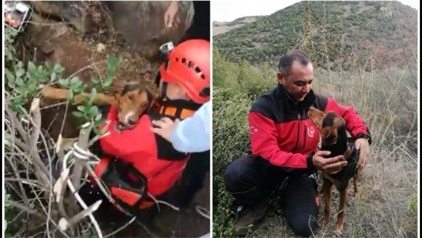 İzmir İtfaiyesi kuyuda mahsur kalan köpeği kurtardı