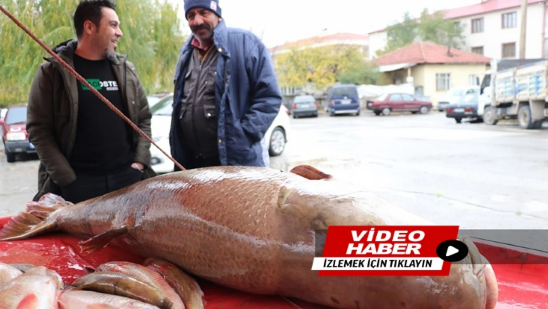 Karasu Nehri'nde oltayla yaklaşık 110 kilogramlık turna balığı yakalandı