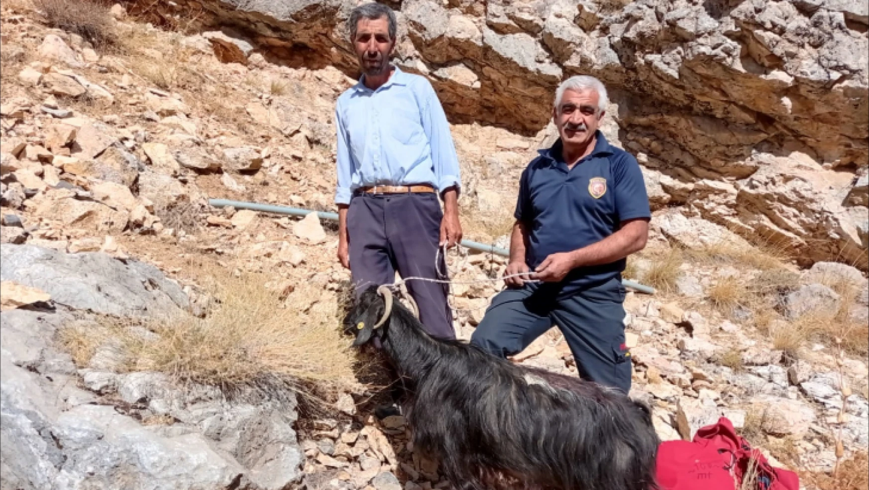 Kayalıklarda mahsur kalan keçiyi İtfaiye ekipleri kurtardı