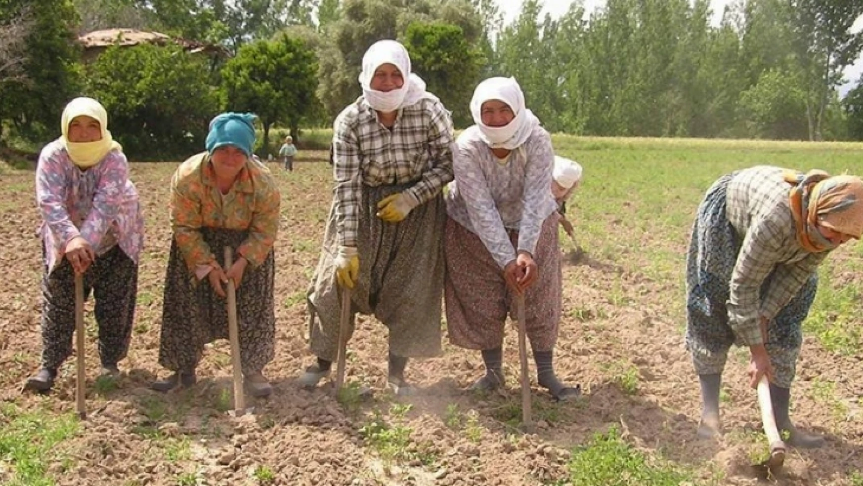 15 Ekim Dünya Kadın Çiftçiler Günü