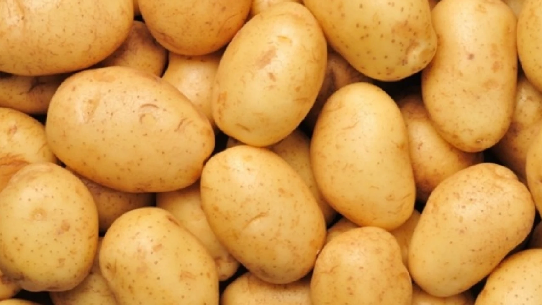 TZOB'dan 'patates tüketelim' çağrısı…