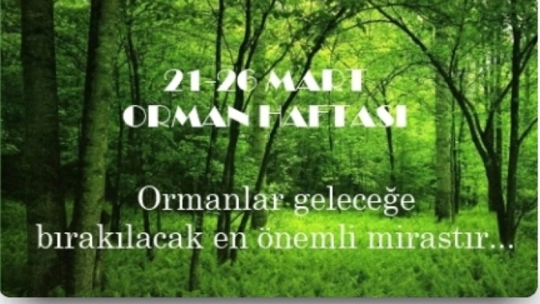 21 Mart Dünya Ormancılık Günü