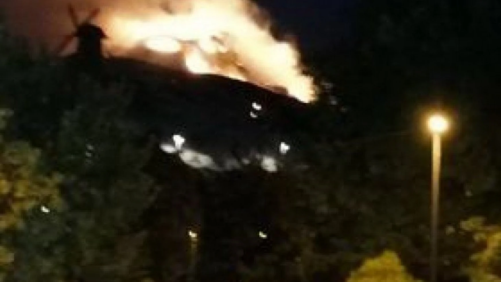 Malatya Orduzu Tabiat parkında Yangın