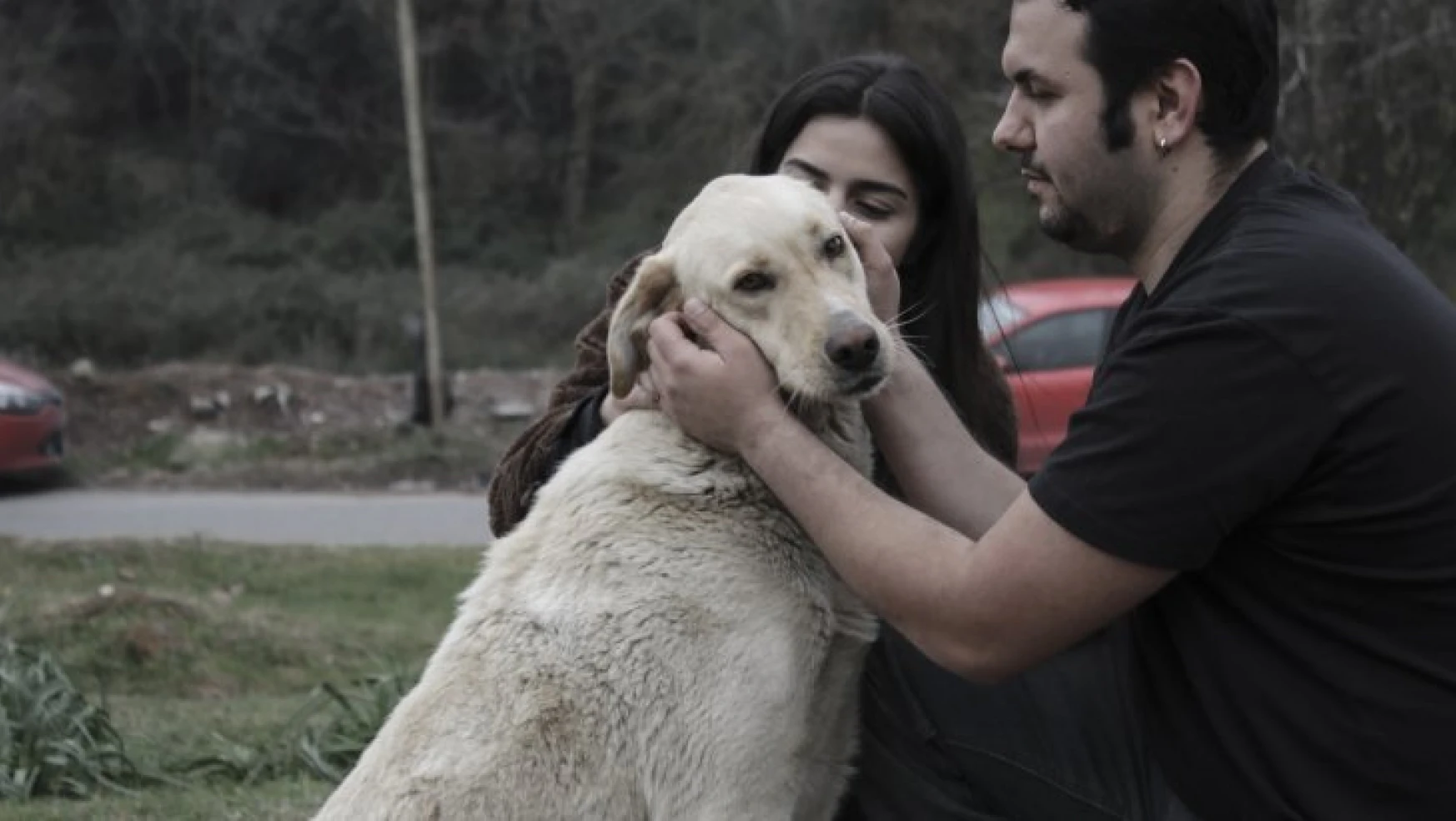 Marmara Ve Maltepe Üniversitesi Öğrencileri, Ormana Sürgün Edilen Köpekleri Besledi