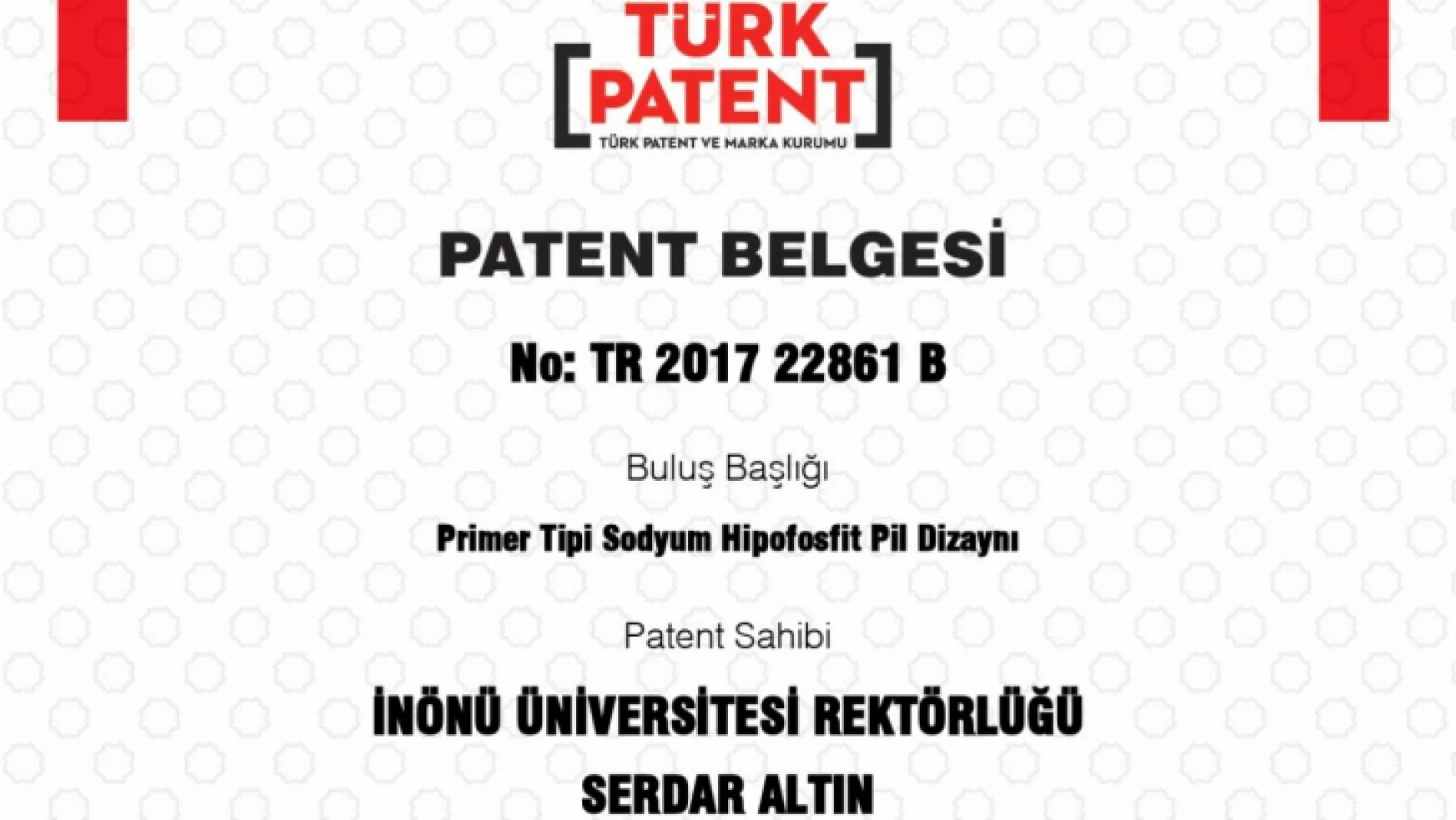 'Primer Tipi Sodyum Hipofosfit Pil Dizaynı' Başlıklı Patent Başvurusu Tescillendi