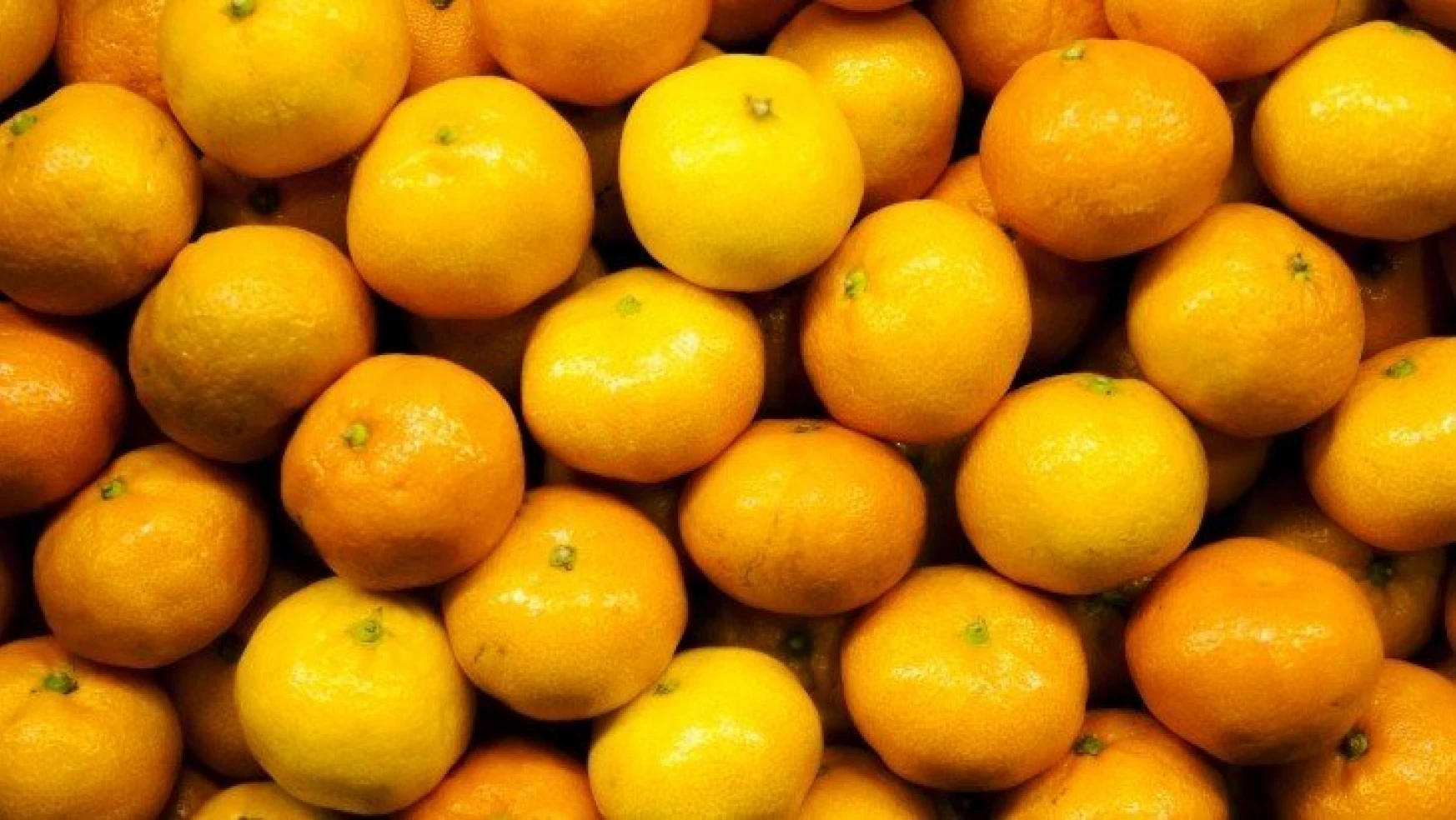 Satsuma mandalinanın ihracat yolculuğu 19 Ekim'de başlıyor