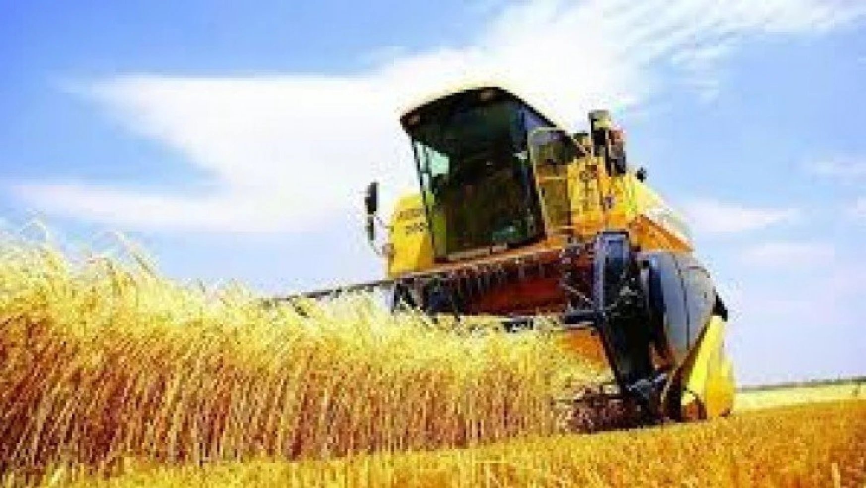 Tarım Ürünleri Üretici Fiyat Endeksi ekim ayında arttı