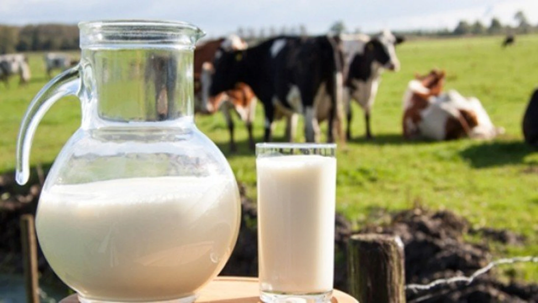 Ticari süt işletmelerince Aralık ayında 787 bin 172 ton inek sütü toplandı