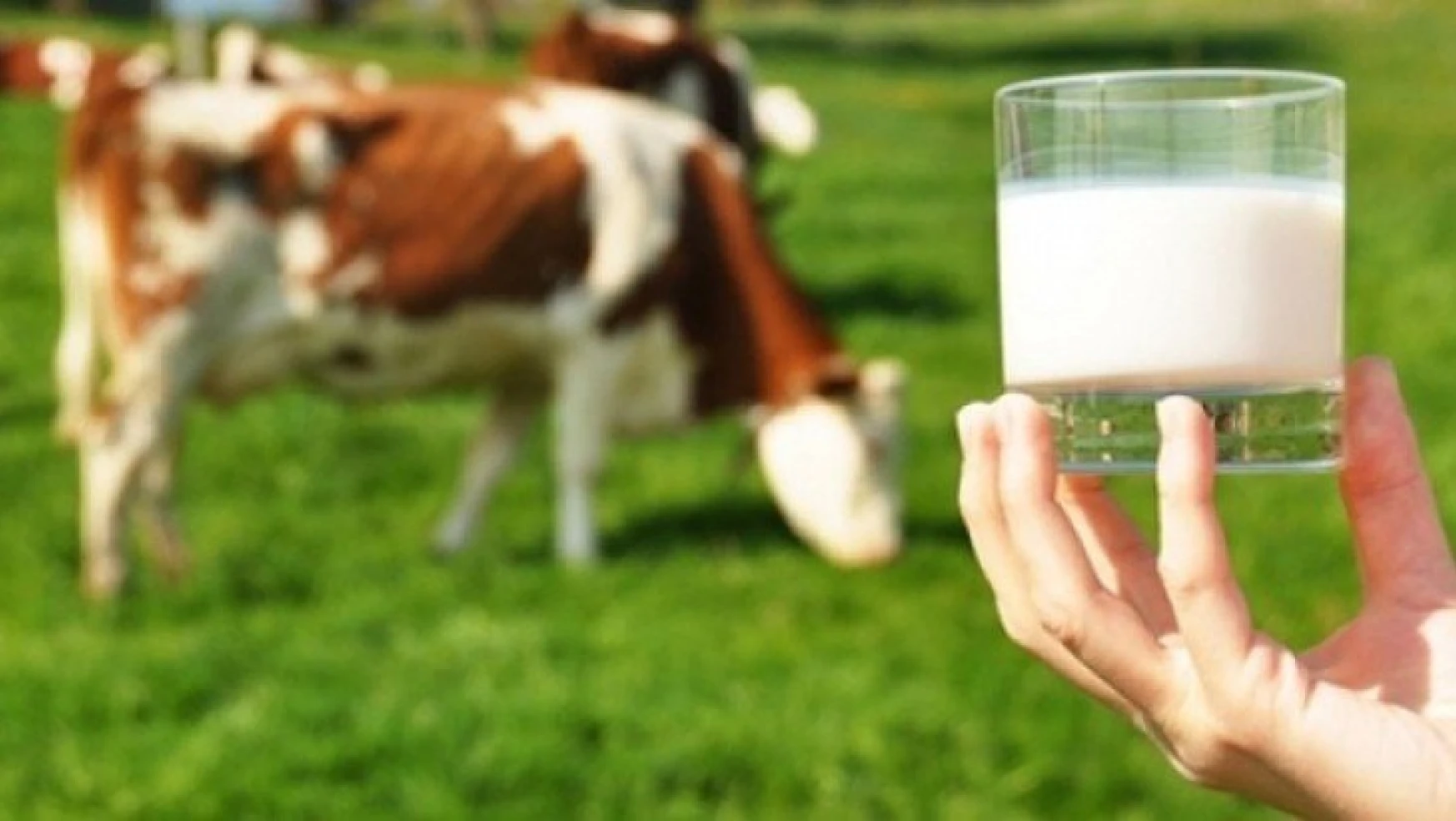 Ticari süt işletmelerince Aralık ayında 780 bin 842 ton inek sütü toplandı